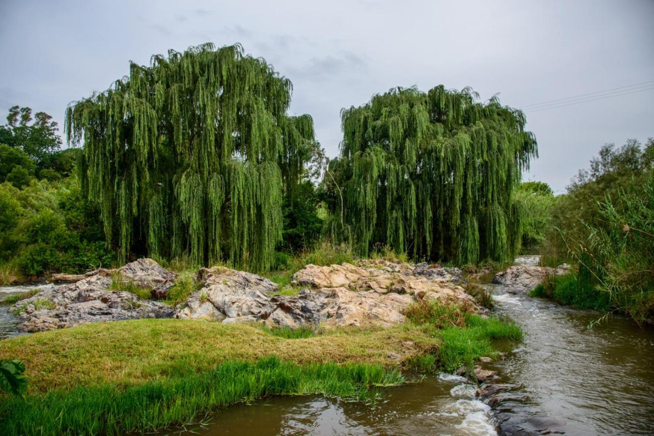 לנסריה 23 On Riverside מראה חיצוני תמונה